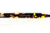 Wisconsin col.Yellow Amber